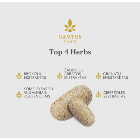 Top 4 Herbs